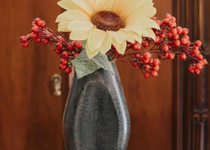 Nuovo Reale - Centro Storico Πανσιόν Λέτσε