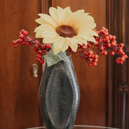 Nuovo Reale - Centro Storico ゲストハウス レッチェ